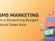 SMS Marketing on a Shoestring Budget: Boost Sales SMS Marketing on a Shoestring Budget: Boost Sales No